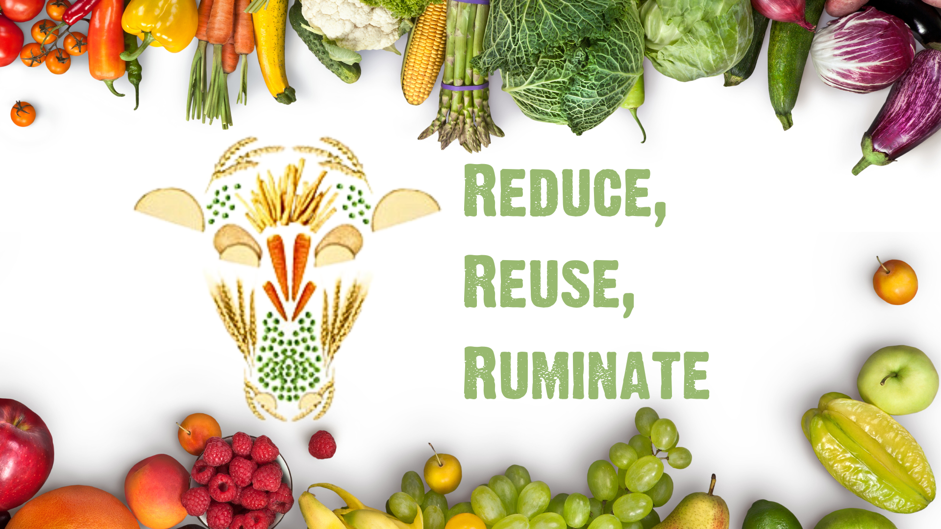 Reduce, Reuse, Ruminate